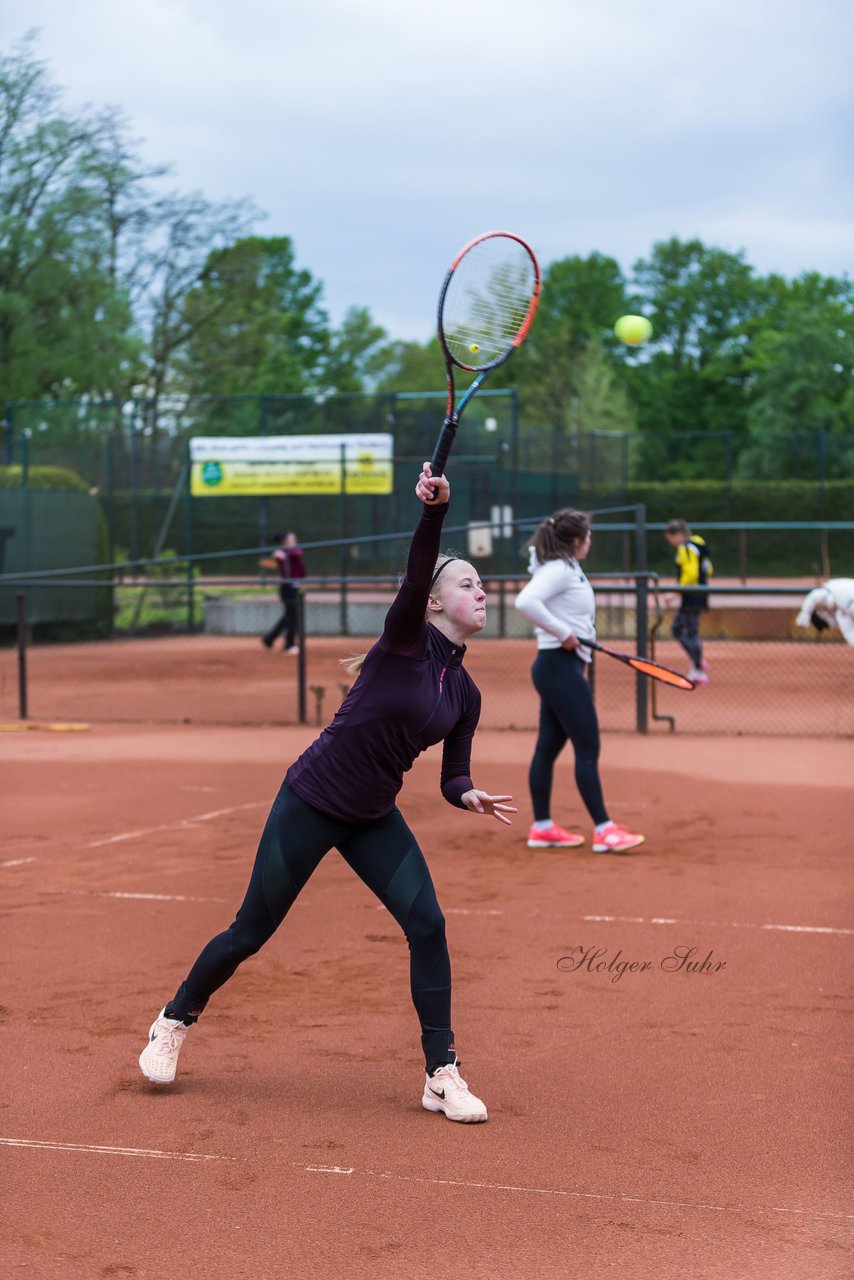 Bild 436 - NL VfL Westercelle - SVE Wiefelstede : Ergebnis: 8:1